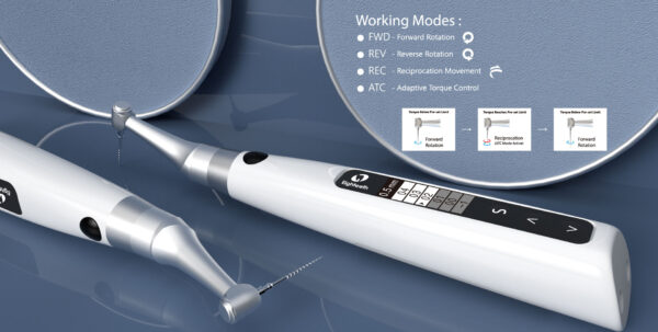 Eighteeth E-connect S Endomotor - Image 2