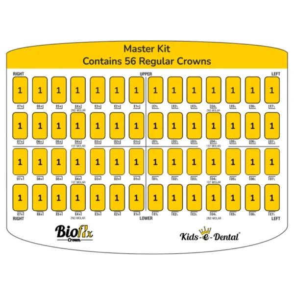 Kids E-Dental Bioflx Posterior Crown Master Kit of 56 pcs - Image 3